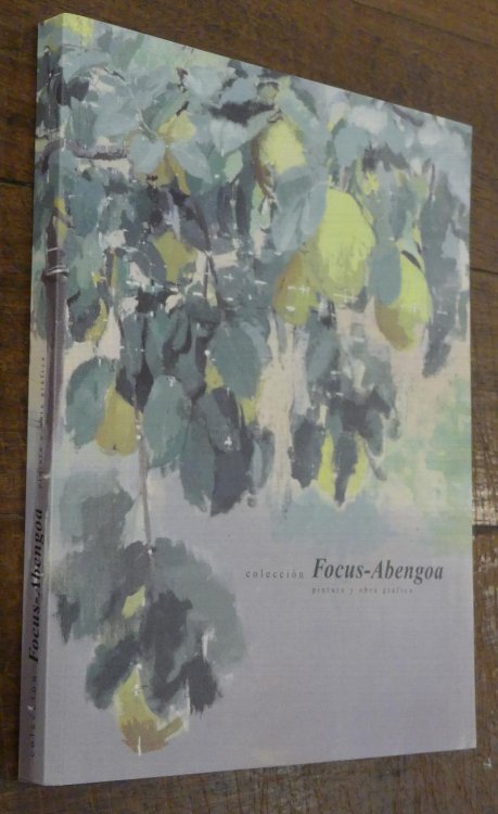 Coleccion Focus-Abengoa Pintura y Obra Grafica