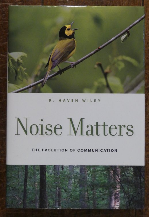 Noise Matters The Evolution of Communication