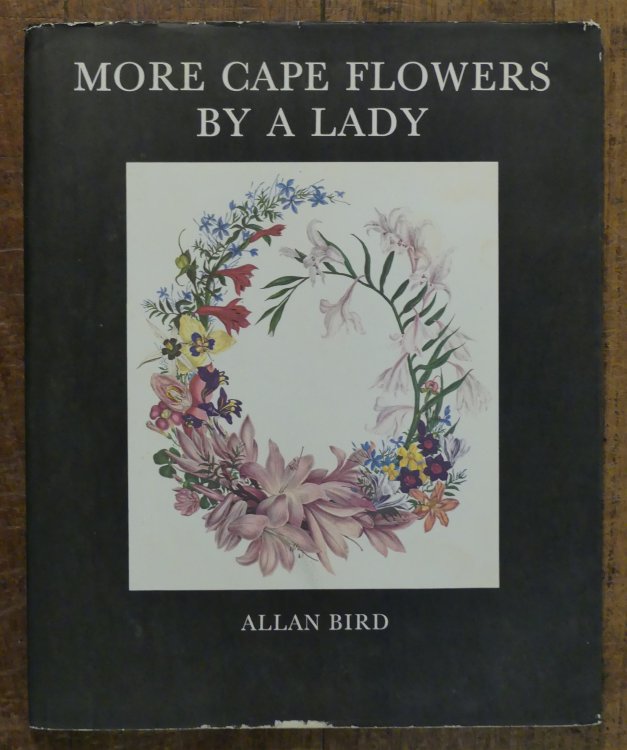 More Cape Flowers By a Lady The Paintings of Arabella Roupell