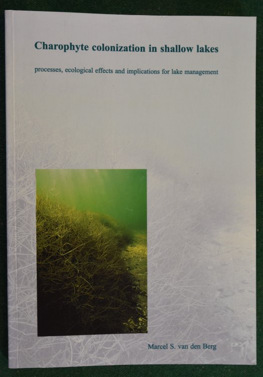 Charophyte Colonization in Shallow Lakes. Processes, Ecological Effects and Implications for Lake Management (Phd thesis)