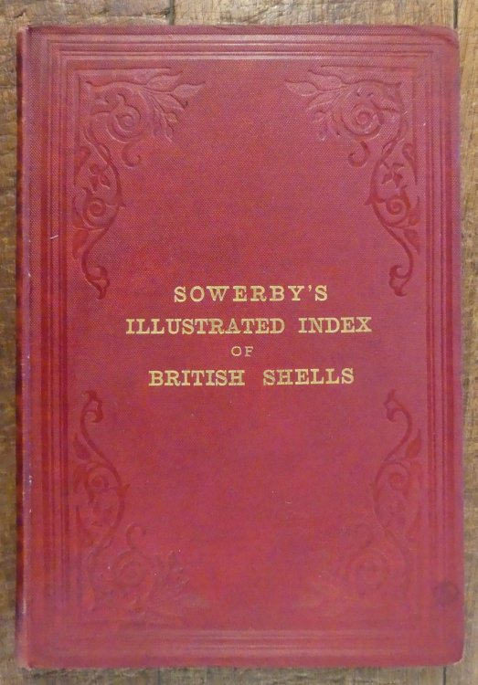 Illustrated Index of British Shells. Containing Figures of All the Recent Species with Names and Other Information. Second Edition, Revised & Enlarged