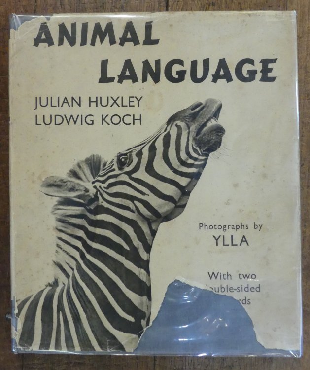 Animal Language