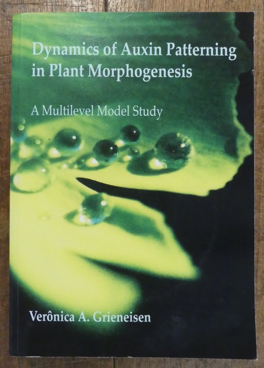 Dynamics of Auxin Patterning in Plant Morphogenesis. A Multilevel Model Study