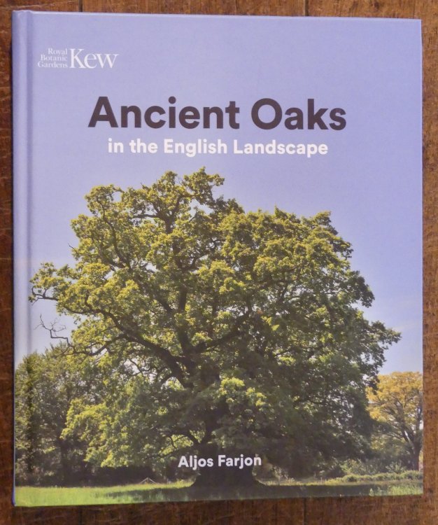 Ancient Oak in the English Landscape