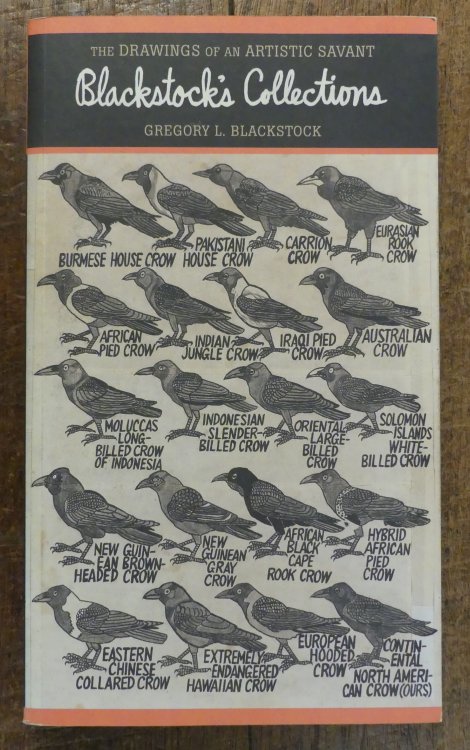 Blackstock's Collections The Drawings of an Artistic Savant
