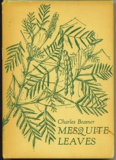 Mesquite Leaves, Images Of The South Texas Hills