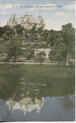 U. S. Fish Hatchery At San Marcos, Texas