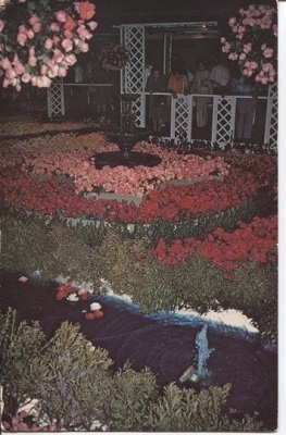 Texas Rose Festival, Rose Show, Tyler