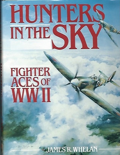 Hunters In The Sky Fighter Aces of WWII