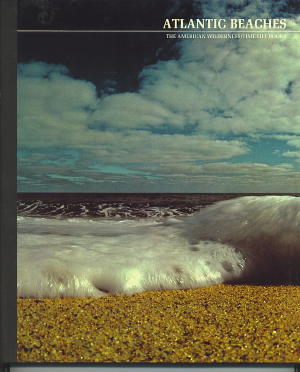 Image for Atlantic Beaches Atlantic Beaches