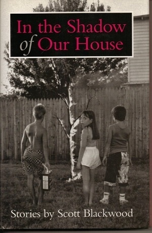 In The Shadow Of Our House Stories by Scott Blackwood
