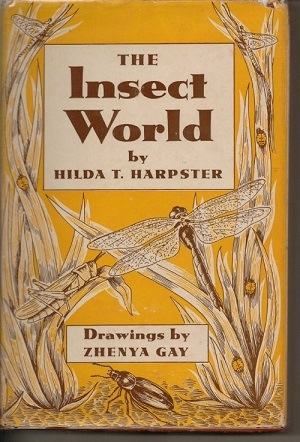 The Insect World