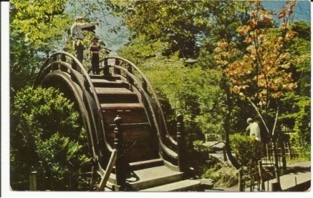 Oriental Tea Garden In Golden Gate Park