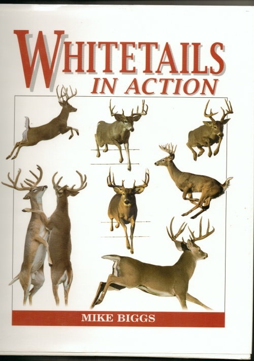Whitetails in Action