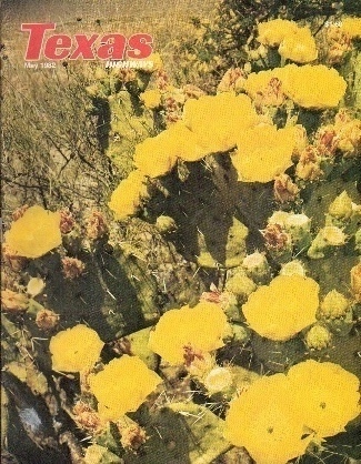 Texas Highways Magazine May 1982 The Official Texas State Travel Magazine