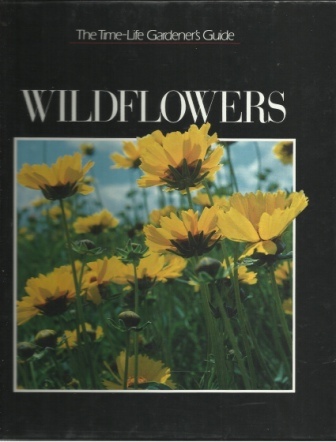 Wildflowers