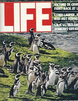 Life Magazine, April, 1984 Penguins