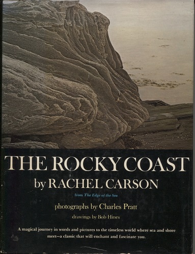 The Rocky Coast