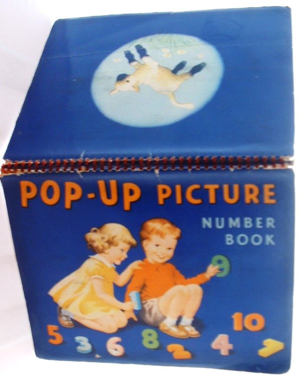 Pop Up Picture Number Book