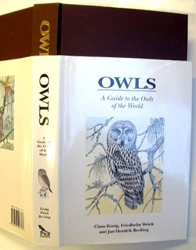 Owls