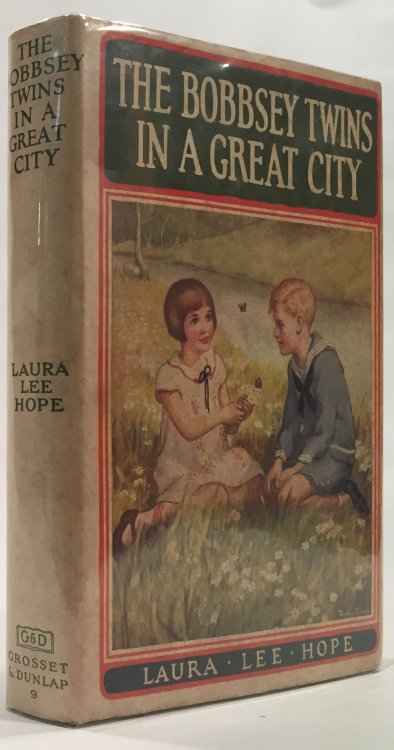 The Bobbsey Twins in a Great City
