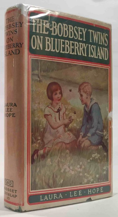 The Bobbsey Twins on Blueberry Island