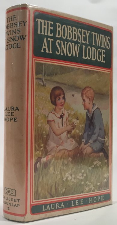 The Bobbsey Twins At Snow Lodge