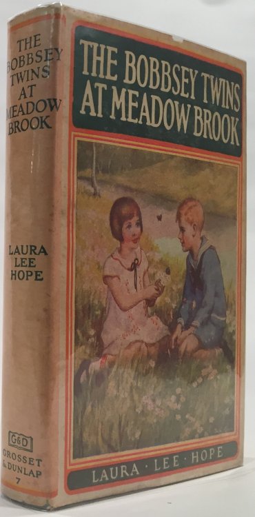 The Bobbsey Twins At Meadow Brook