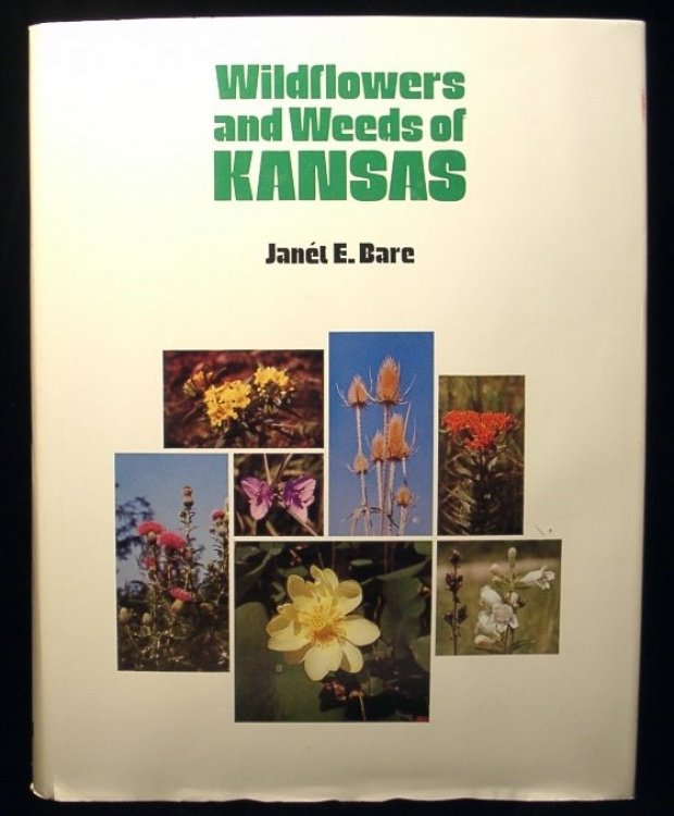 Wildflowers and Weeds of Kansas