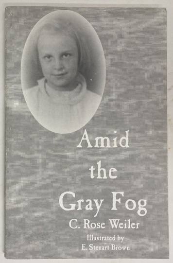 Amid the Gray Fog