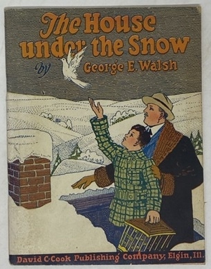The House under the Snow