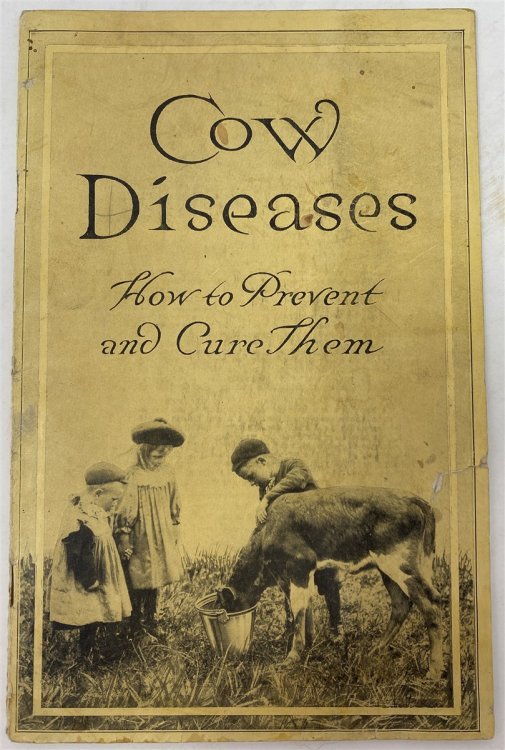 Cow Diseases: How to Prevent and Cure Them