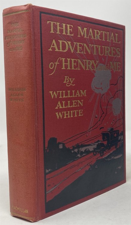 The Martial Adventures of Henry and Me