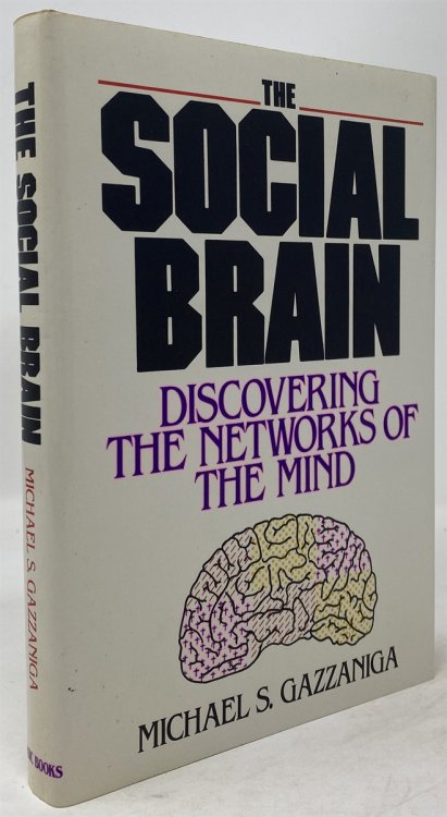 The Social Brain
