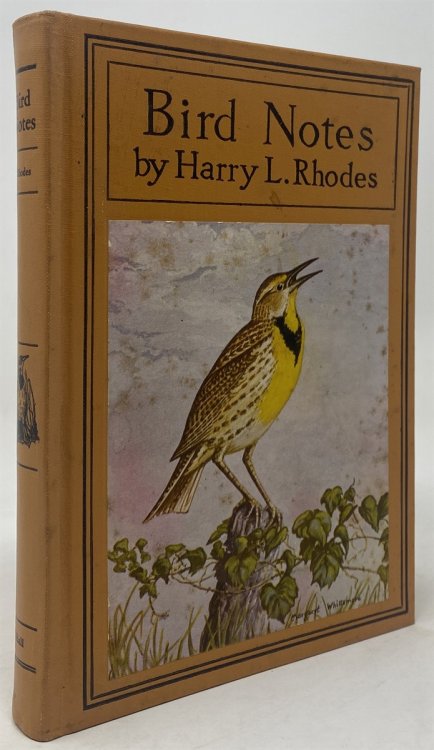 Bird Notes with Questions and Answers