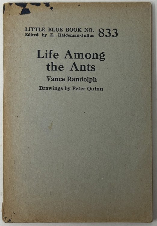 Life Among the Ants
