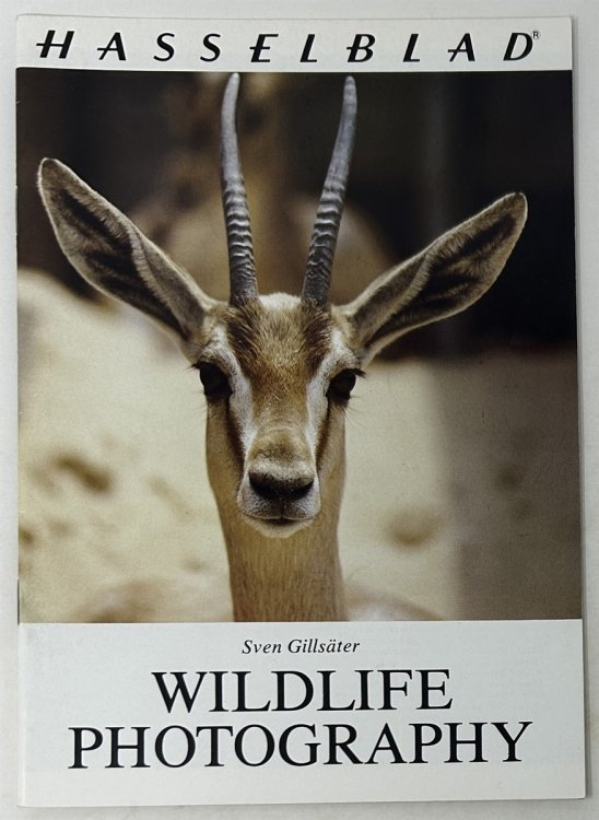 Wildlife Photography