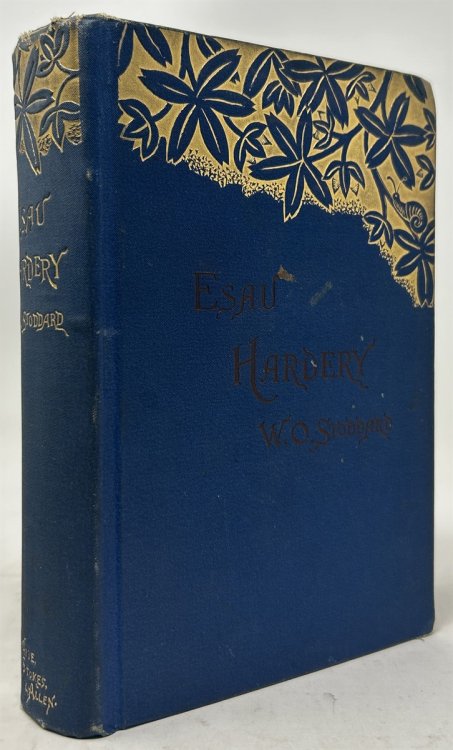 Esau Hardery: A Novel of American Life