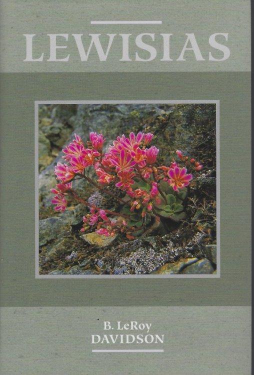Lewisias