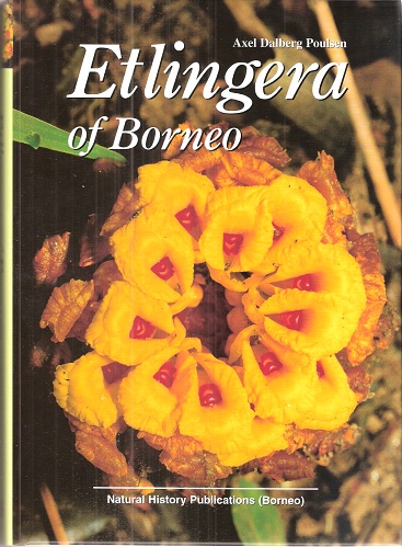 Etlingera of Borneo
