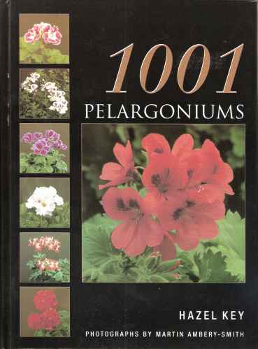 1001 Pelargoniums