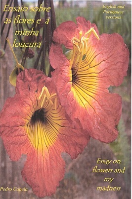 Essay on Flowers and My Madness (Ensaio sobre as flores e a minha loucura)