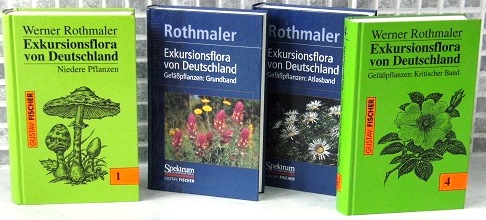 Exkursionsflora von Deutschland, 4 Bde. (Volumes 1, 2, 3 & 4)