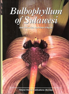 Bulbophyllum of Sulawesi
