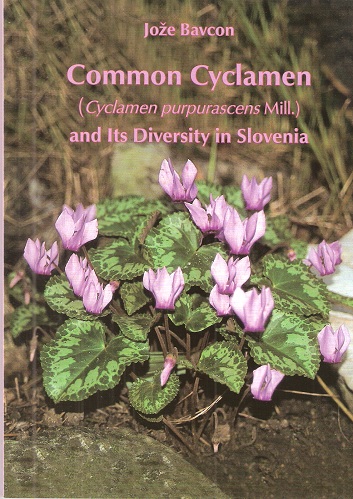 Common Cyclamen (Cyclamen purpurescens) and Its Diversity in Slovenia