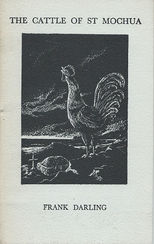 The Cattle of St Mochua - a paraphrase of the Irish tale