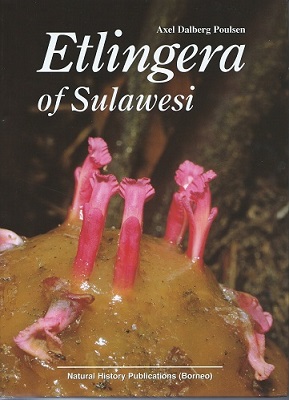 Etlingera of Sulawesi