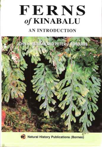 Ferns of Kinabalu - an introduction