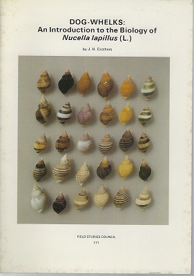 Dog-Whelks : an introduction to the biology of Nucella lapillus