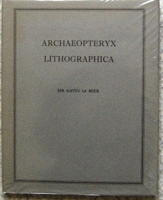 Archaeopteryx Lithographica